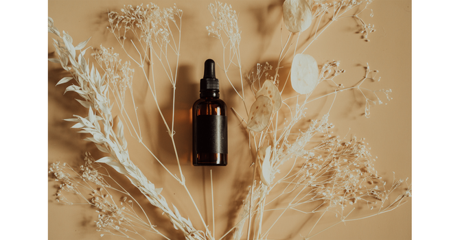 The Importance of Spinal Health for Overall Wellness