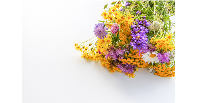 Naturopathic Medicine