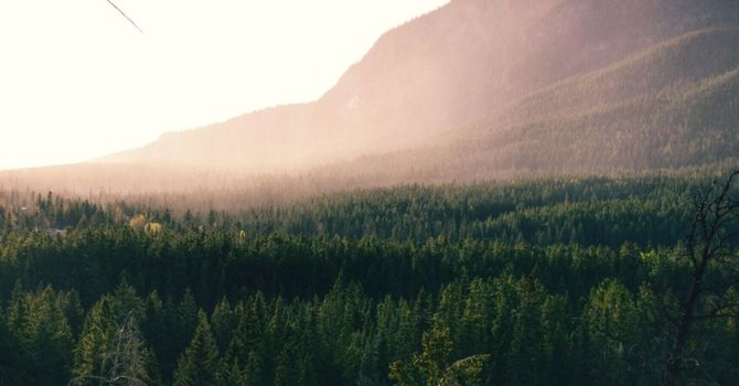 Ice Or Heat, Which Is Better When You're Hurt?