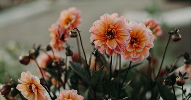 What's Going On When Your Hips Are Making Noise?