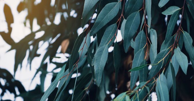 What's Going On When Your Hips Are Making Noise? image